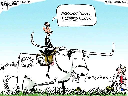Media Name: ObamaCare-Sacred-Cow.jpg