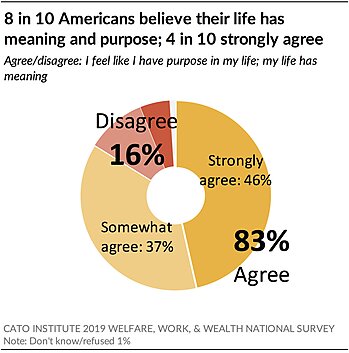 8 in 10 Americans believe their life has meaning and purpose
