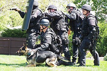 SWAT with dog