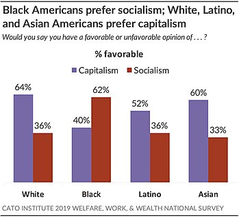 Black Americans Prefer Socialism; White, Latino, and Asian Americans prefer capitalism