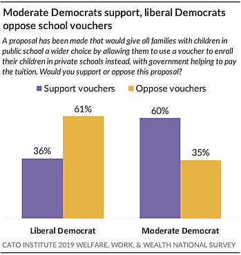 Democrats and school vouchers