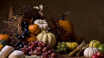 Cornucopia with soft and subtle lighting on a soft golden brown background