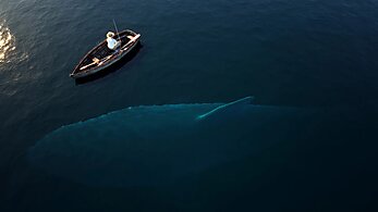 A fishermen in a boat and a whale below the surface of the ocean