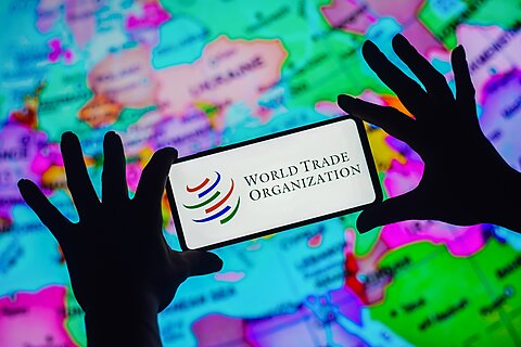 The World Trade Organization at Thirty