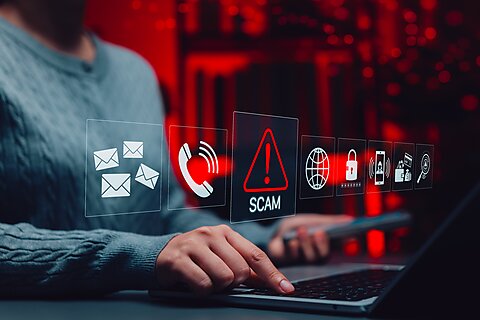 It’s Not Just Minnesota–Fraud Is Everywhere