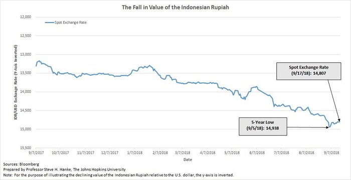 Media Name: fiv-hanke1.jpg