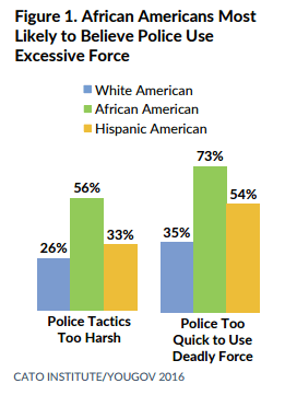 Media Name: public-opinion-briefs-img-1.png