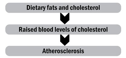 Media Name: pa-846-figure-1.jpg