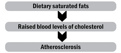 Media Name: pa-846-figure-81.jpg