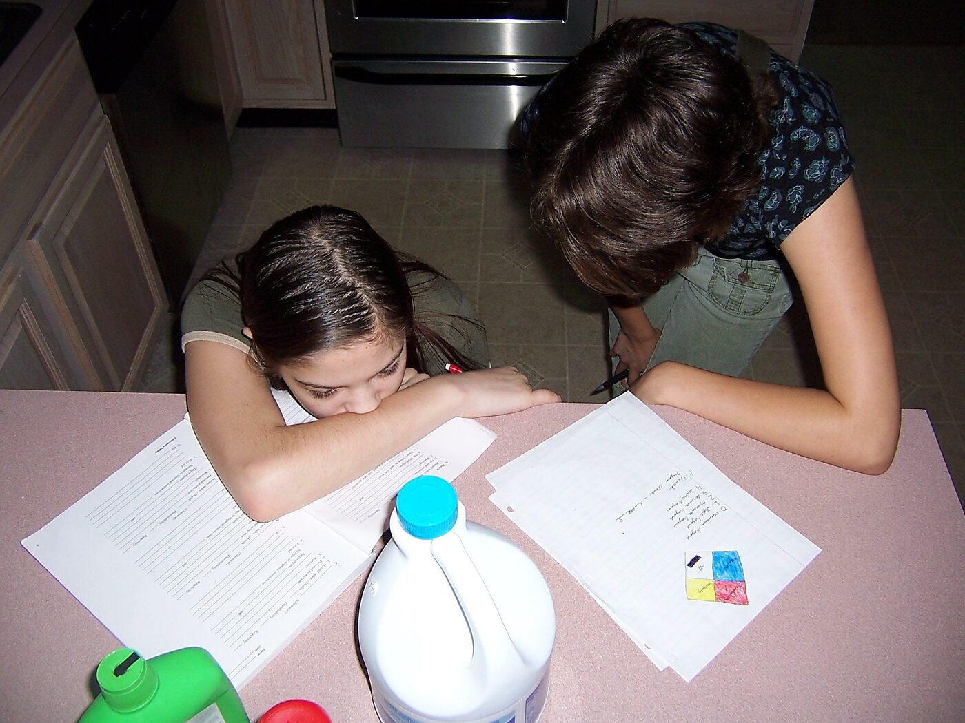 Homeschooling students