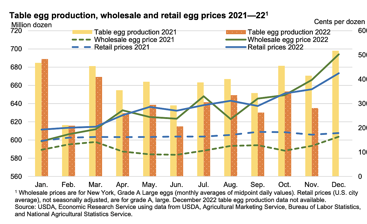 Bar and line chart showing that domestic egg production was lower in 2022 than in 2021, and that prices rose in the former as a result