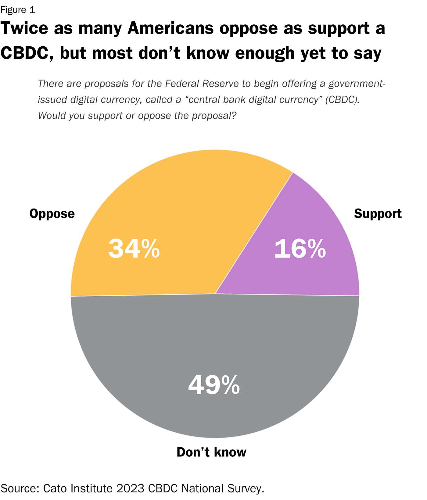 Figure 1: Support for CBDC Pie Chart Large