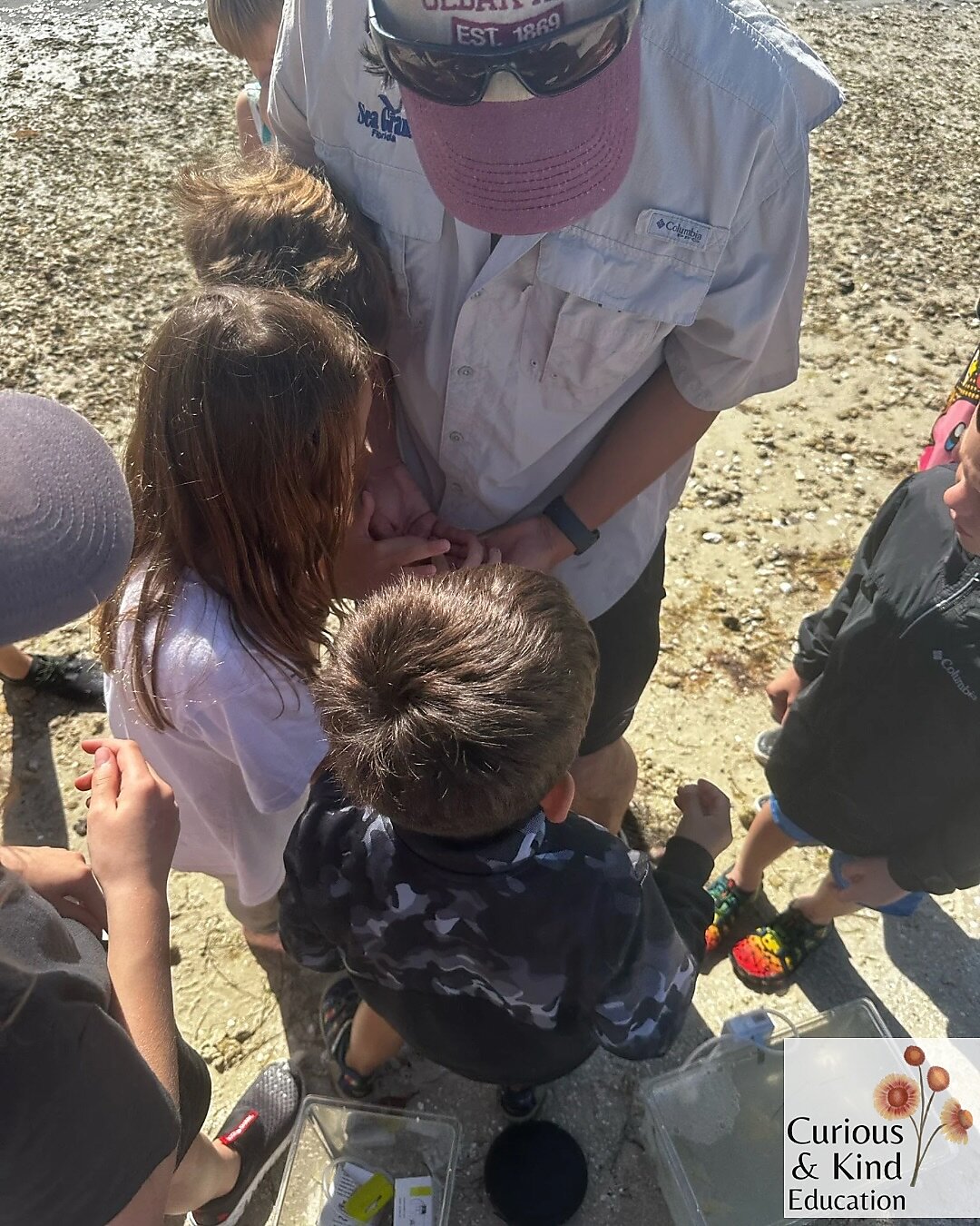 Outdoor learning at Curious and Kind