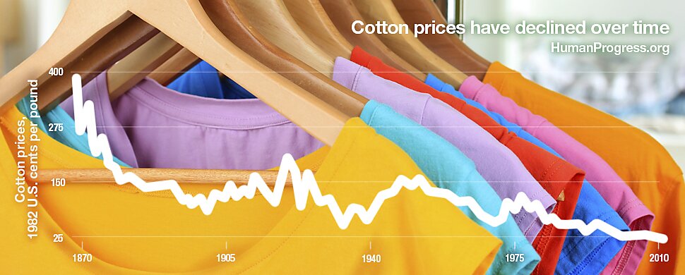 Media Name: cotton.jpg