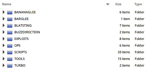 Screenshot of files from the Equation Group Hack