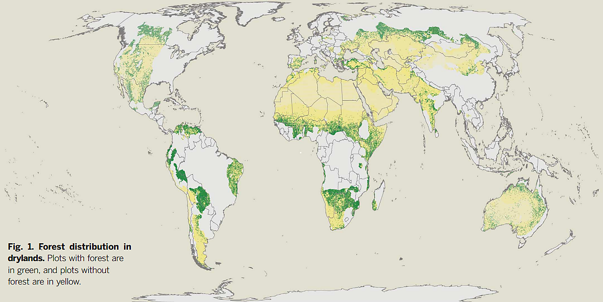 Media Name: forestdistribution.png