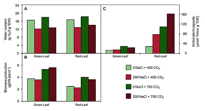 Figure 1. Effects of salt treatment and CO2 concentration on water content (A), biomass production (B) and antioxidant capacity (C) of green leaf and red leaf lettuce. Adapted from Pérez-López et al. (2015).
