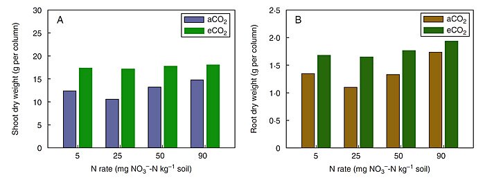 Figure 1. Shoot (Panel A) and root (Panel B) biomass of field pea grown for 15 weeks under either an ambient (aCO2) or elevated (eCO2) carbon dioxide concentration and with 5, 25, 50 or 90 mg NO3--N kg-1 soil.