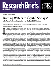 Research Brief 198 Cover