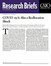 Research Brief 232 Cover