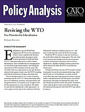 Policy Analysis - 911 - Cover