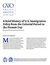 Policy Analysis 919 Cover Image