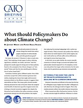 Briefing Paper 130 - Cover