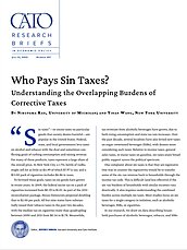 Research Brief 297 cover