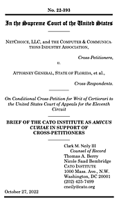 NetChoice v. Attorney General, State of Florida cover