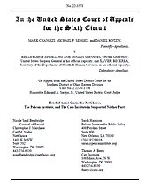 Changizi-Sixth-Circuit-Brief-cover.jpg
