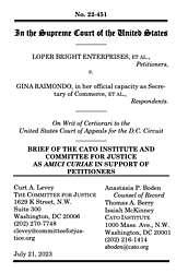 Looper Bright Enterprises v. Raimondo cover