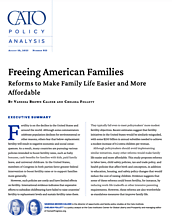 Policy Analysis - 955 - Freeing American Families cover