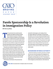 Briefing Paper 165 cover