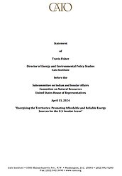 Energizing the Territories: Promoting Affordable and Reliable Energy Sources for the U.S. Insular Areas - cover