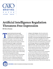 Briefing Paper - 176 - Cover