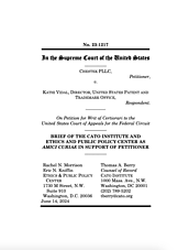 <em>Chestek v. Vidal</em> cover