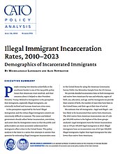 Illegal Immigrant Incarceration: Rates, 2010–2023  Demographics of Incarcerated Immigrants - pub cover