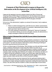 Public Comment on an AI Action Plan  - pub image