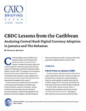 Briefing Paper 188 Cover