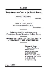 Villarreal v. Alaniz - pub cover