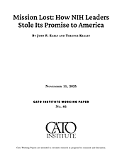 Working Paper 85 cover