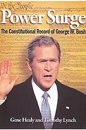 Media Name: powersurge.jpg