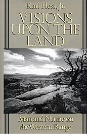 Media Name: visionbookcover.jpg