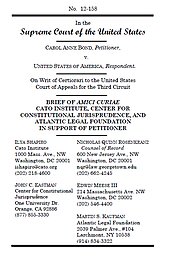 Media Name: bondii-cover.jpg