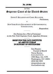 Media Name: kelleher-v-nysdec.png