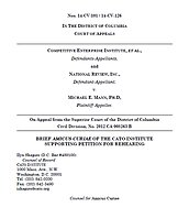 Media Name: mann-rehearing-petition-dcca-cover.jpg