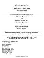 Media Name: mann-v-nr-cei-cover.png