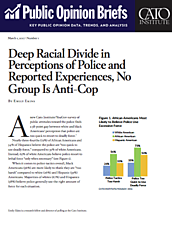 Media Name: public-opinion-briefs-1-cover.png