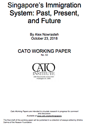 Media Name: working-paper-cover-53-cover.png